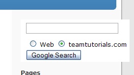 Replace WordPress Search With Google Search Box