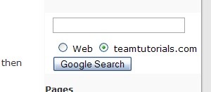 Replace WordPress Search With Google Search Box